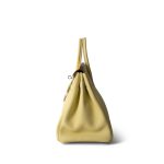 Birkin 25 Jaune Poussin Togo Palladium Plated Z Stamp - Image 10