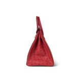 Birkin 30 Rouge Vif Ostrich Gold Plated X Stamp - Image 7