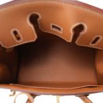 Birkin 25 Gold Epsom Gold Plated W Stamp - Image 9