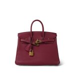 Birkin 25 Rouge Grenat Togo Gold Plated X Stamp - Image 5