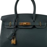 Birkin 30 Vert Cypress Togo Gold Plated C Stamp - Image 3