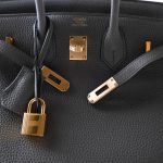 Birkin 25 Etain Togo Gold Plated Y Stamp - Image 12