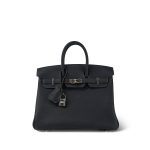 Birkin 25 Bleu Nuit / Bleu De Nord Togo Palladium Plated W Stamp
