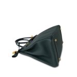 Birkin 30 Vert Cypress Togo Gold Plated C Stamp - Image 13
