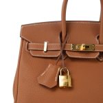 Birkin 25 Gold Veau Togo Gold Plated Y Stamp - Image 3