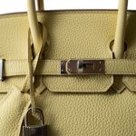 Birkin 25 Jaune Poussin Togo Palladium Plated Z Stamp - Image 3
