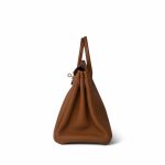 Birkin 25 Gold Togo Gold Plated Y Stamp - Image 6