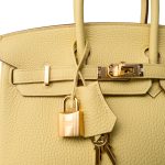Birkin 25 Jaune Poussin Togo Gold Plated Z Stamp - Image 12
