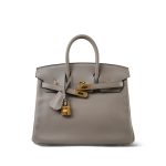Birkin 25 Gris Asphalt Taurillon Novillo Gold Plated Y Stamp - Image 8