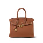 Birkin 30 Gold Veau Togo Gold Plated X Stamp - Image 4