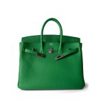 Birkin 25 Bambou Togo Palladium Plated [R] Stamp - Image 11