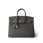 Birkin 25 Gris Meyer Togo Gold Plated W Stamp