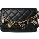 Black Lambskin Quilted Coco Charms Wallet on Chain WOC Light Gold Hardware - Image 17