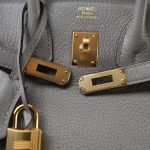 Birkin 25 Gris Asphalt Taurillon Novillo Gold Plated Y Stamp - Image 18