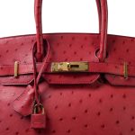 Birkin 30 Rouge Vif Ostrich Gold Plated X Stamp - Image 2
