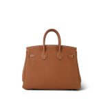 Birkin 25 Gold Veau Togo Gold Plated Y Stamp - Image 9