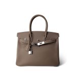 Birkin 30 Etoupe Epsom Palladium Plated Y Stamp - Image 11