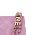 22S Pink Caviar Quilted ‘Pick Me Up’ Belt Bag Aged Gold Hardware - Image 17
