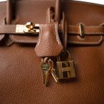 Birkin 25 Fauve Barenia Gold Plated Z Stamp - Image 13