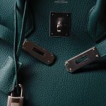 Birkin 30 Malachite Togo Palladium Plated C Stamp - Image 4
