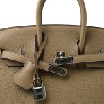 Birkin 25 Beige Marfa Togo Palladium Plated W Stamp - Image 4