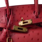 Birkin 30 Rouge Vif Ostrich Gold Plated X Stamp - Image 5