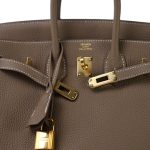 Birkin 25 Etoupe Togo Gold Plated D Stamp - Image 11