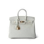 Birkin 25 Mushroom Veau Togo Gold Plated B Stamp