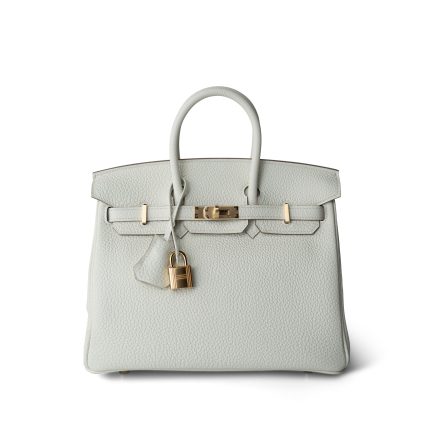 Birkin 25 Mushroom Veau Togo Gold Plated B Stamp