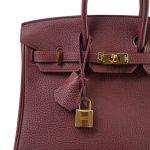 Birkin 25 Rouge H Veau Togo Gold Plated Y Stamp - Image 3