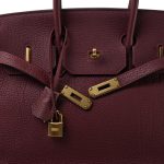 Birkin 35 Rouge H Togo Gold Plated [M] Samp - Image 18