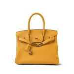 Birkin 30 Jaune Ambre Veau Togo Gold Plated C Stamp - Image 7