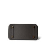 Birkin 25 Etain Togo Gold Plated Y Stamp - Image 8