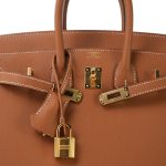 Birkin 25 Gold Epsom Gold Plated W Stamp - Image 4