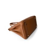 Birkin 30 Gold Togo Gold Plated Y Stamp - Image 13