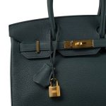 Birkin 30 Vert Cypress Togo Gold Plated C Stamp - Image 2