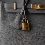 Birkin 25 Etain Togo Gold Plated Y Stamp - Image 4