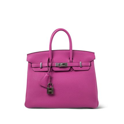 Birkin 25 Magnolia Veau Togo Palladium Plated C Stamp