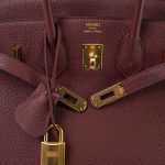 Birkin 25 Rouge H Veau Togo Gold Plated Y Stamp - Image 7