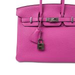 Birkin 25 Magnolia Veau Togo Palladium Plated C Stamp - Image 16
