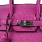 Birkin 25 Magnolia Veau Togo Palladium Plated C Stamp - Image 12