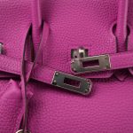 Birkin 25 Magnolia Veau Togo Palladium Plated C Stamp - Image 15