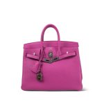 Birkin 25 Magnolia Veau Togo Palladium Plated C Stamp - Image 14