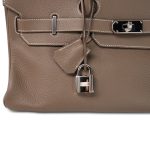 Shoulder Birkin 42 Etoupe Togo Palladium Plated [M] Stamp - Image 4