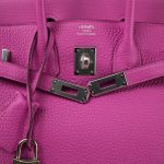 Birkin 25 Magnolia Veau Togo Palladium Plated C Stamp - Image 17
