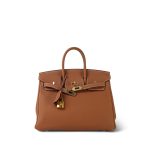 Birkin 25 Gold Veau Togo Gold Plated Y Stamp - Image 7