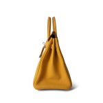 Birkin 25 Jaune Ambre Togo Palladium Plated Z Stamp - Image 5