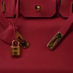 Birkin 30 Rouge Vif Veau Togo Gold Plated Y Stamp - Image 16