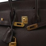 Birkin 25 Ebène Veau Togo Gold Plated Z Stamp - Image 19