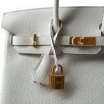 Birkin 25 Gris Pale Togo Gold Plated B Stamp - Image 2